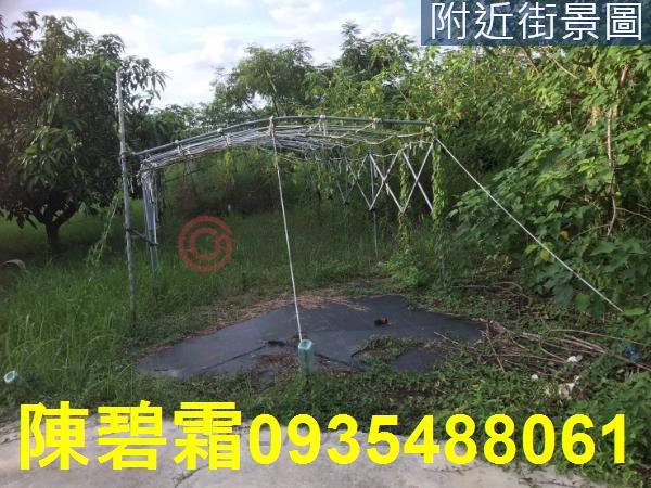 台南農地-5
