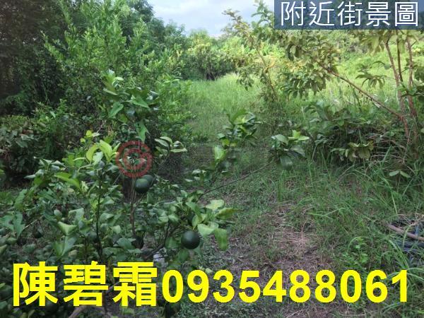 台南農地-0