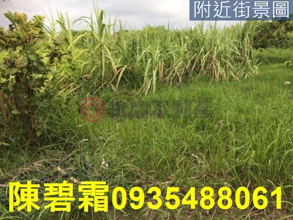 台南農地-7