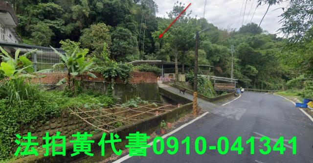 新竹法拍建地_山坡地-1