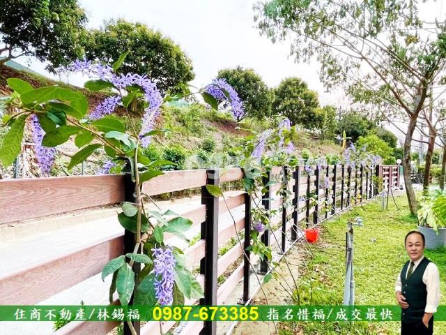 台南農地_小木屋-12