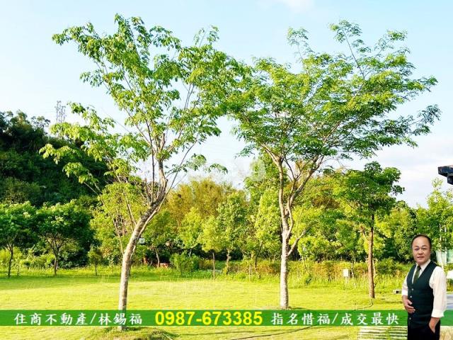 台南農地_小木屋-13
