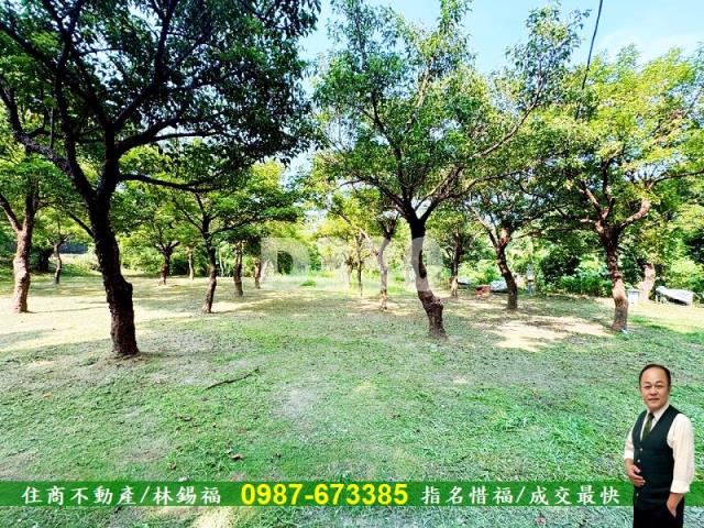 台南農地_小木屋-13