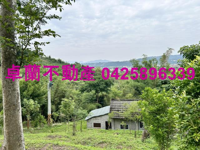 台中東勢農地_建地-12