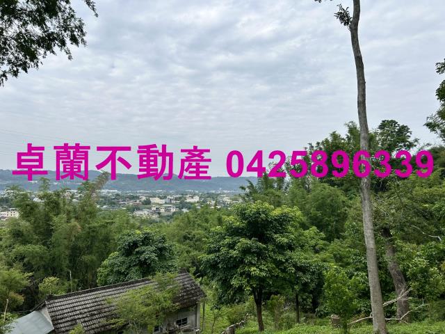 台中東勢農地_建地-13