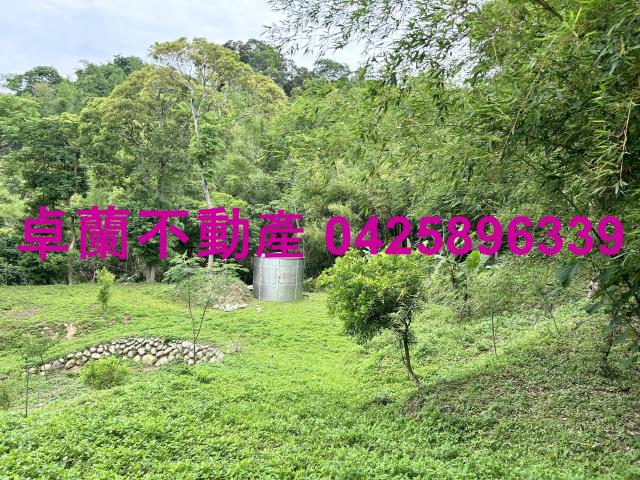 台中東勢農地_建地-4