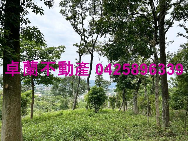 台中東勢農地_建地-5