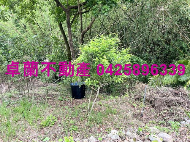 台中東勢農地_建地-8