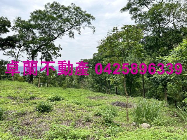 台中東勢農地_建地-9