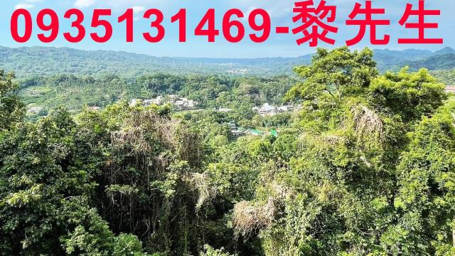 橫山林地-3