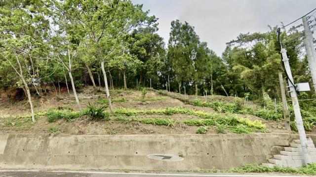 新竹北埔山坡地_休閒地_林地-15