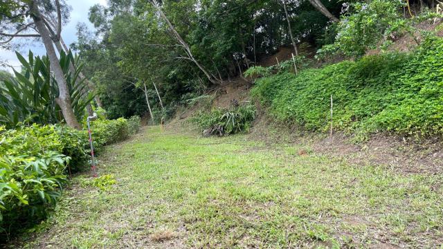 新竹北埔山坡地_休閒地_林地-2