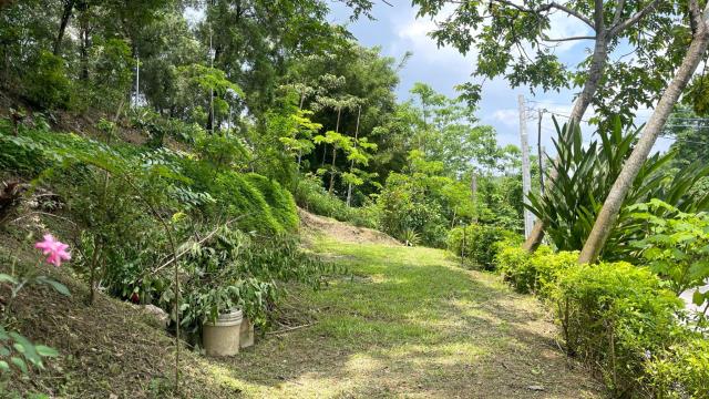 新竹北埔山坡地_休閒地_林地-5