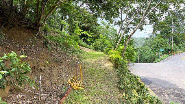 新竹北埔山坡地_休閒地_林地-6