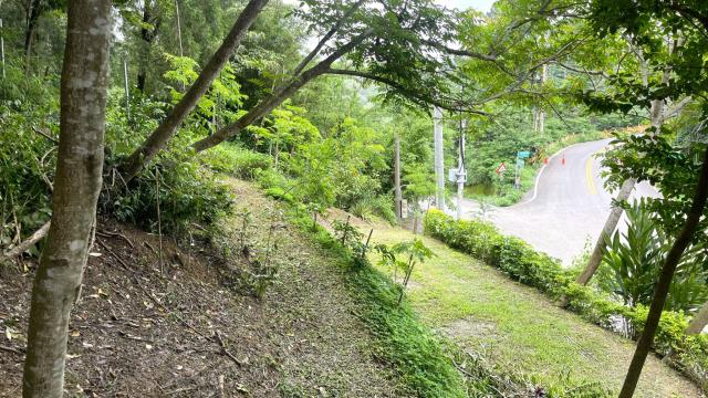 新竹北埔山坡地_休閒地_林地-8