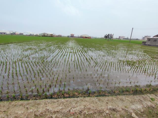 福興農地-7