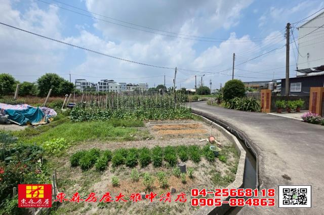 台中大雅建地-1