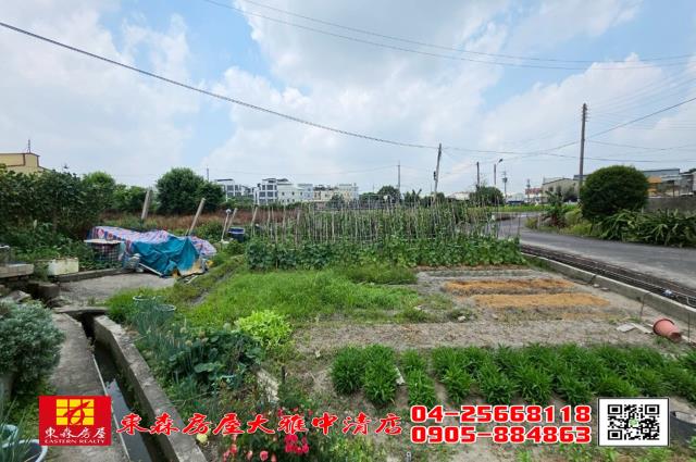 台中大雅建地-2