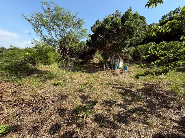 大內農地_山坡地-3