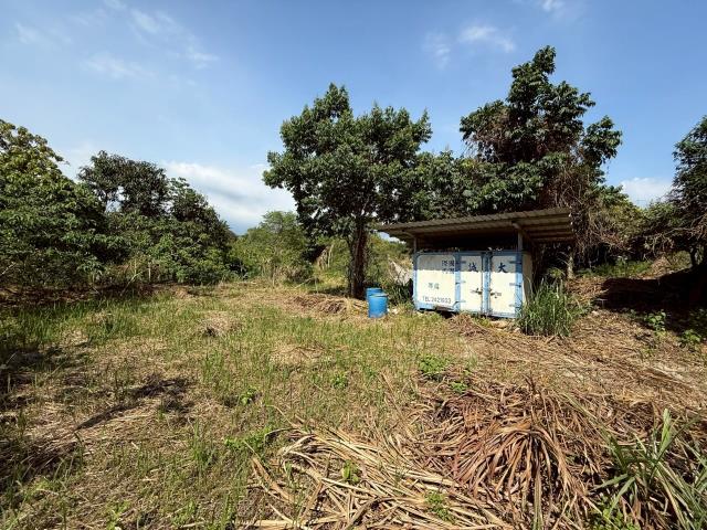 大內農地_山坡地-4