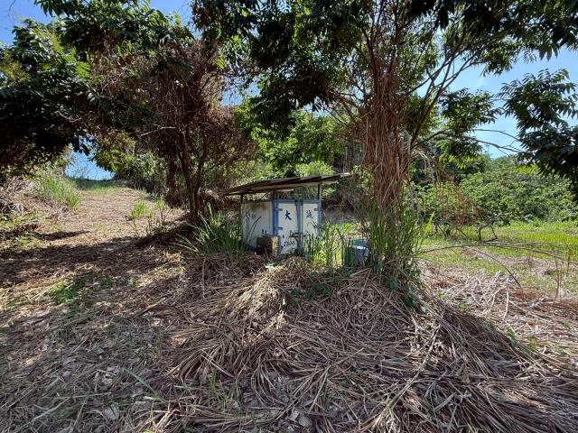 大內農地_山坡地-5