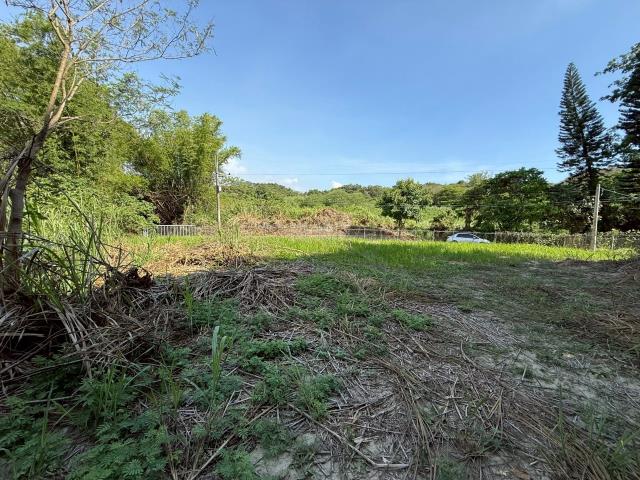 大內農地_山坡地-7