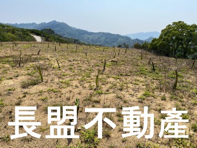 東勢休閒地-2