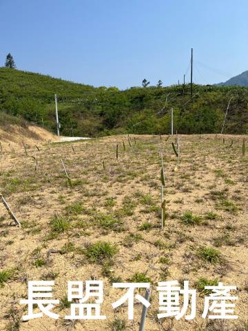 東勢休閒地-3