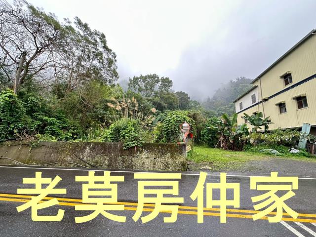 南投建地_山坡地_住宅地-4