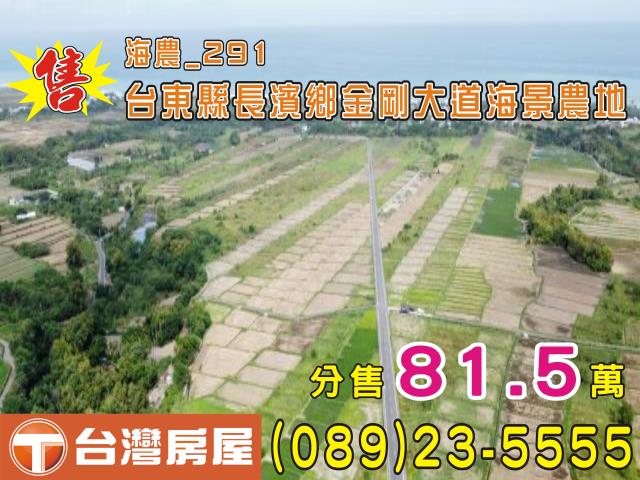 台東長濱土地長濱鄉金剛大道長濱美麗農地台東海岸線農地