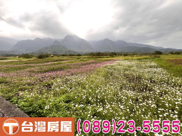 台東農地-7