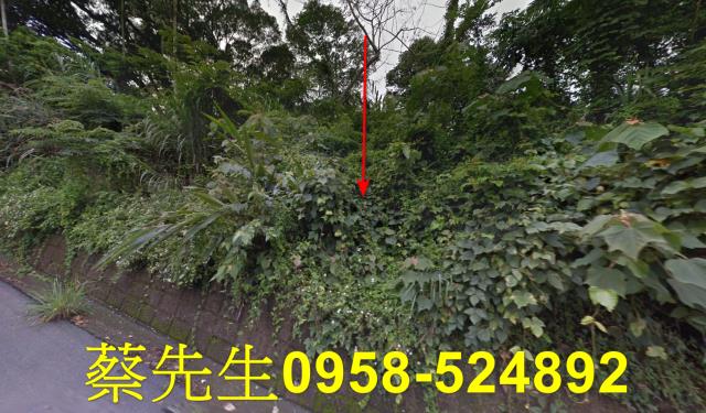 苗栗卓蘭農地拍賣-13