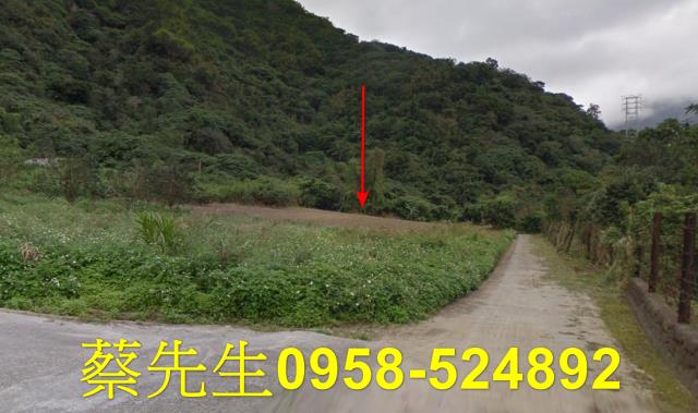 花蓮秀林農地法拍-11
