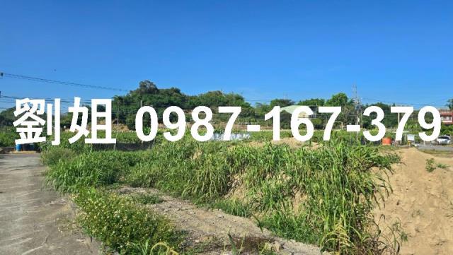 高雄燕巢農地_休閒地-2