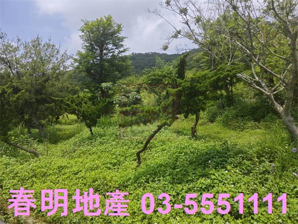 湖口農地-7