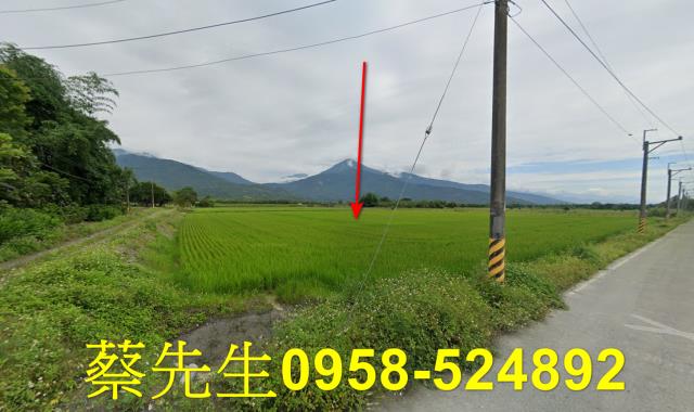 花蓮農地法拍-12