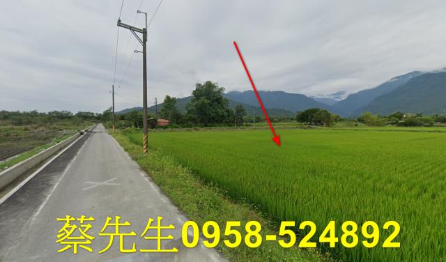 花蓮農地法拍-14