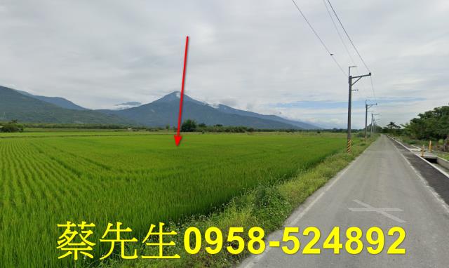 花蓮農地法拍-5