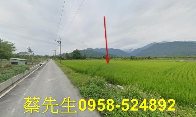 花蓮農地法拍-7