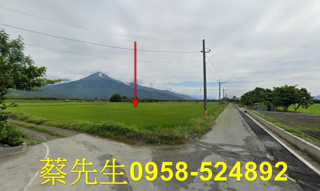 花蓮農地法拍-9