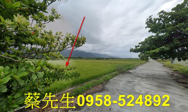花蓮農地法拍-6
