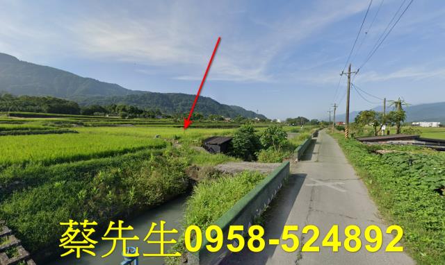 花蓮農地拍賣-15