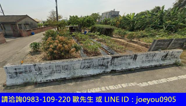 新港法拍農地-2