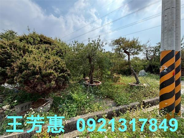 豐原農地-1