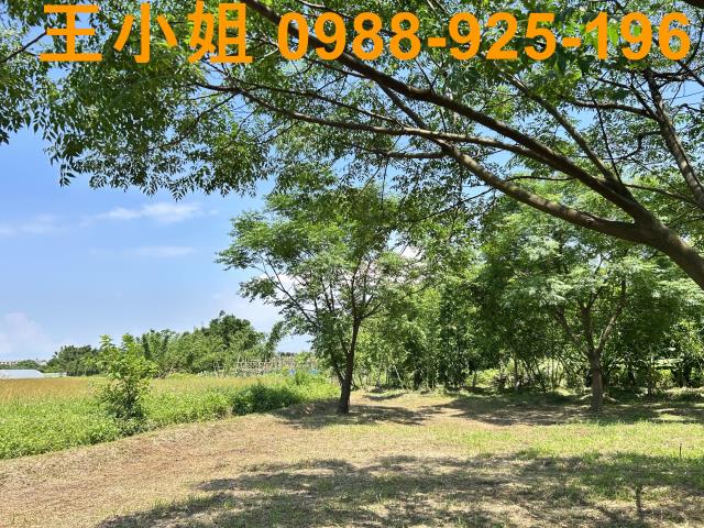 桃園桃園區農地-5