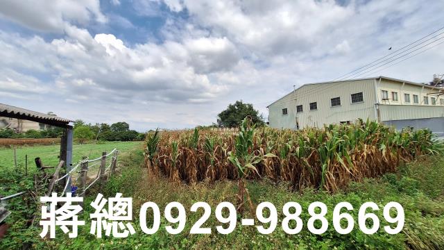 台南新市農地_休閒地_養殖地-3