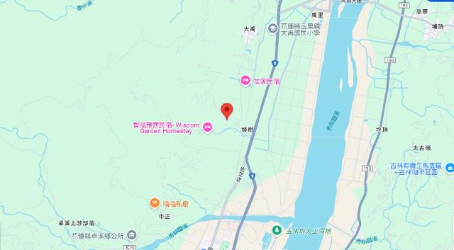 花蓮玉里山坡地_林地拍賣-6