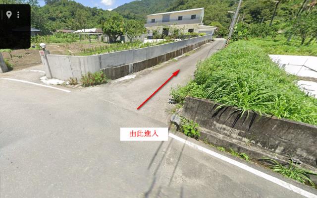 花蓮玉里山坡地_林地拍賣-9