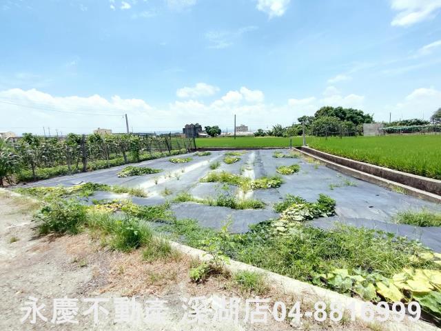 埔鹽農地-3