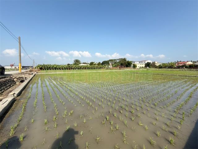 美濃農地_建地-3